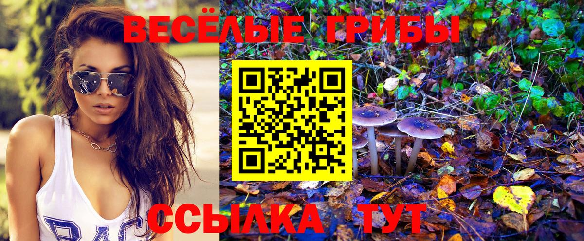 Галлюциногенные грибы мухоморы Касимов