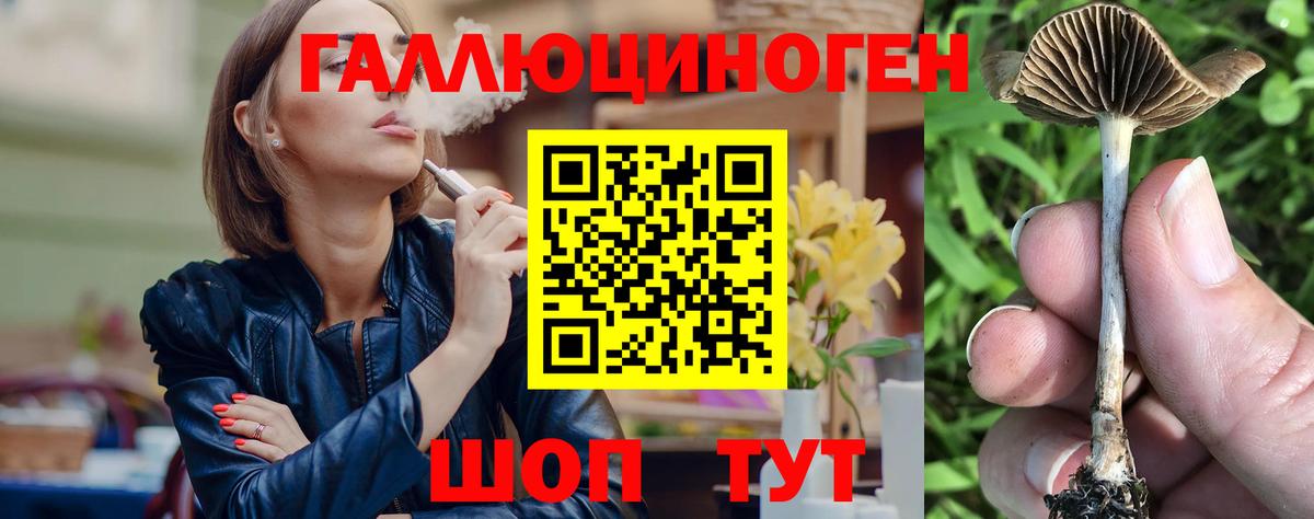Касимов  Галлюциногенные грибы Psilocybe  Вход с VPN 